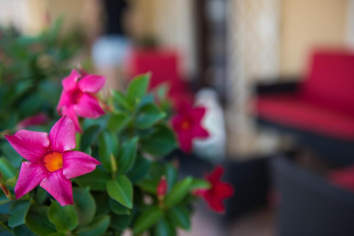 Kibari B&B Buitenkant foto